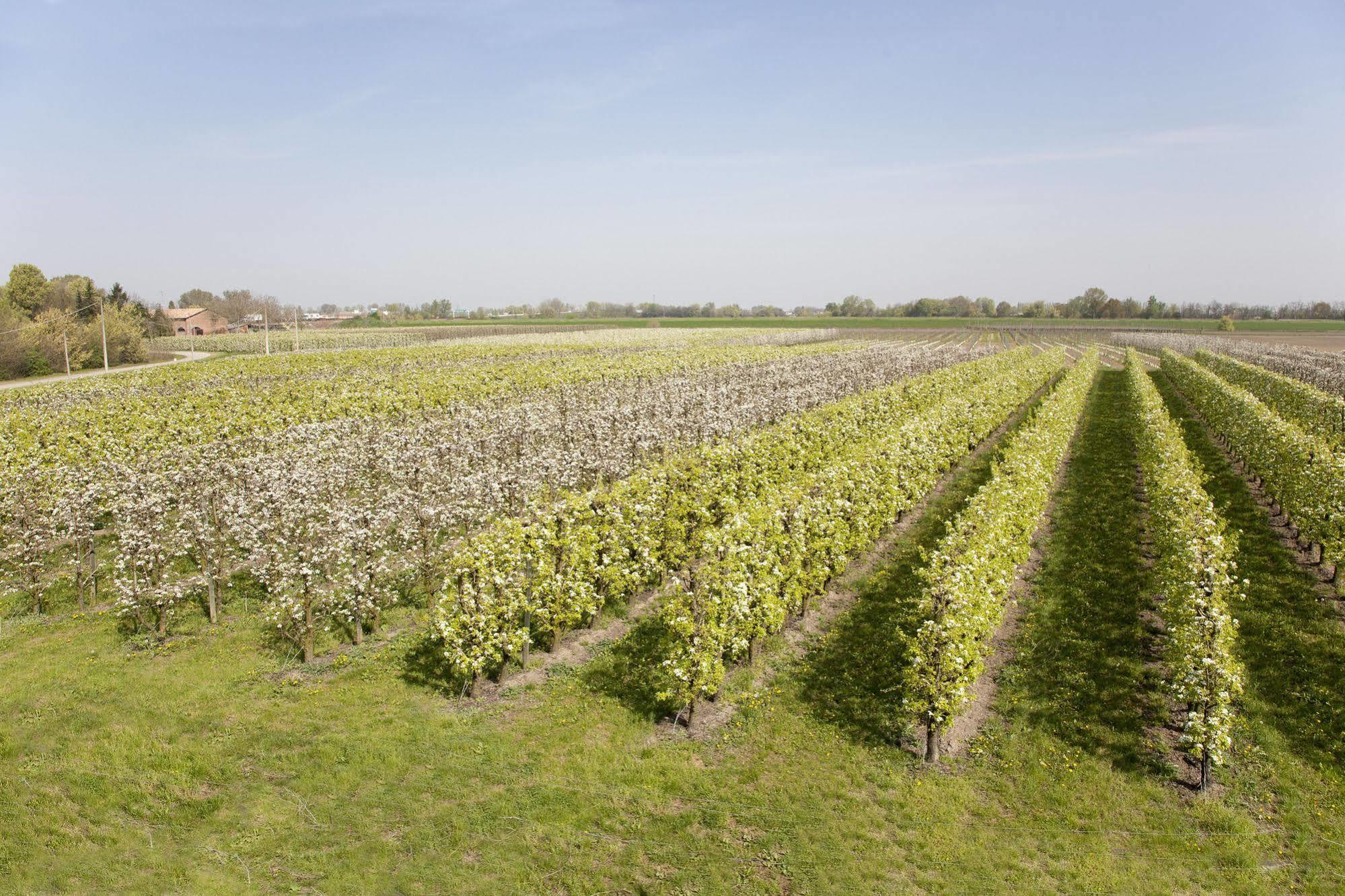 Agriturismo Dosso Al Porto Villa Rolo Eksteriør bilde